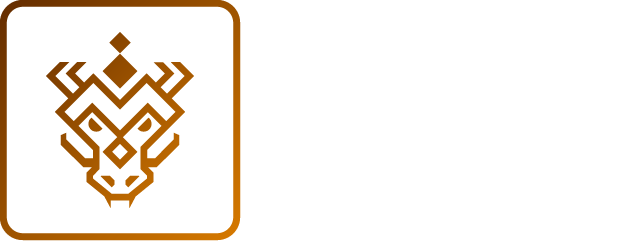 Logo DRAGON solutions s.r.o.
